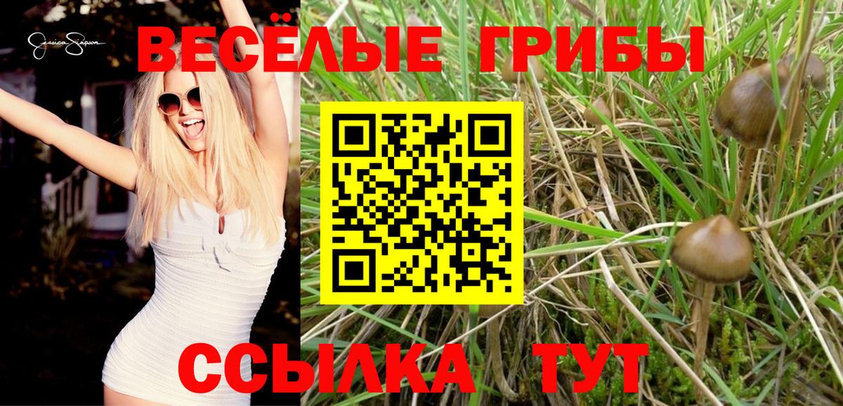 Псилоцибиновые грибы мухоморы Симферополь
